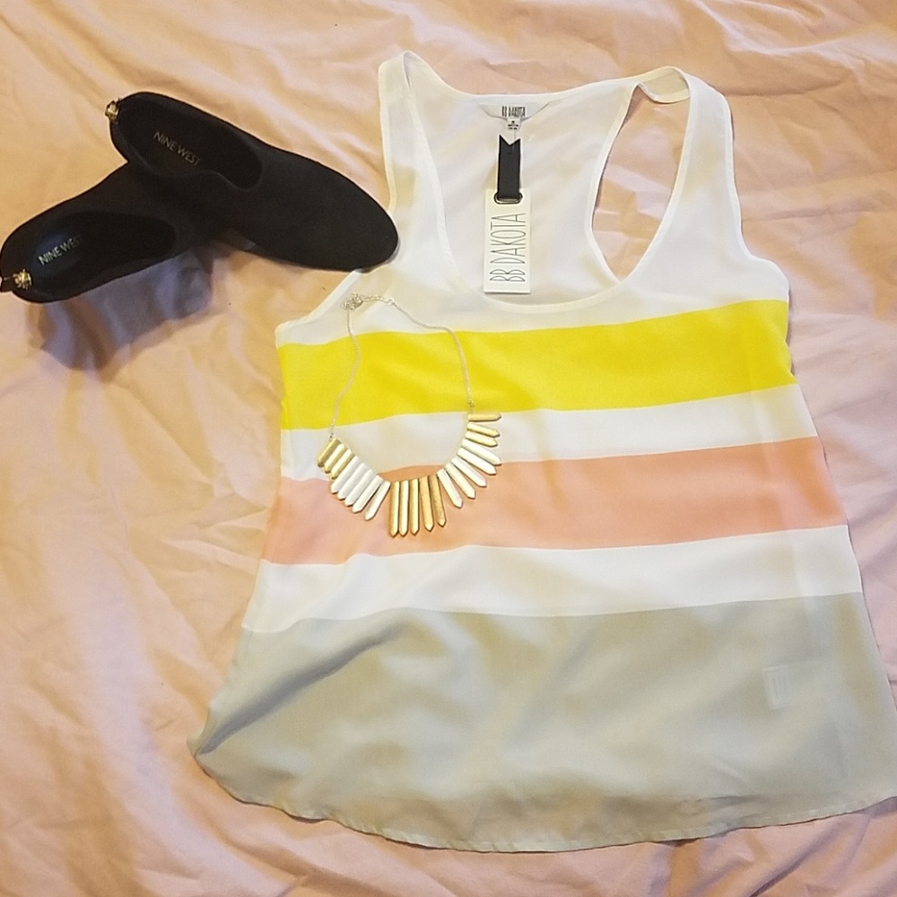BB Dakota Colorblock sleeveless sheer top